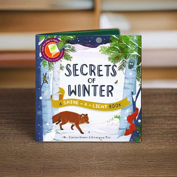 December winter themed book from the Howdy Baby Box monthly gift box for kids