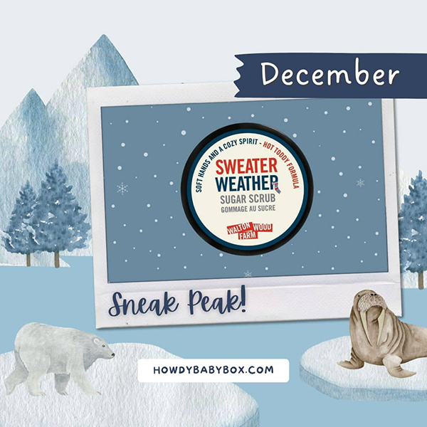 monthly subscription boxes for new moms sneak peek winter sugar scrub