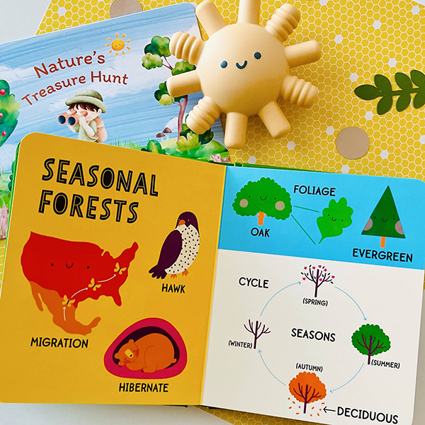 nature themed board book for babies, toddlers, and kids