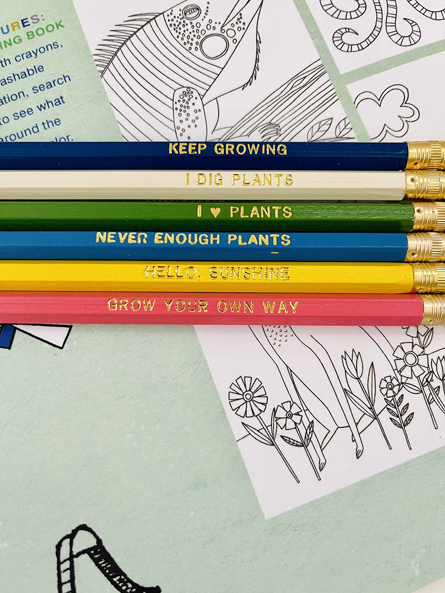 plant pencils for kids close up