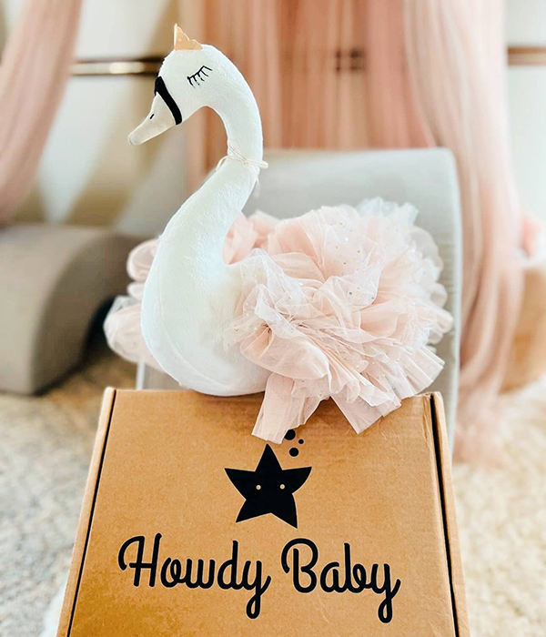 the Howdy Baby mommy and me pregnancy subscription box
