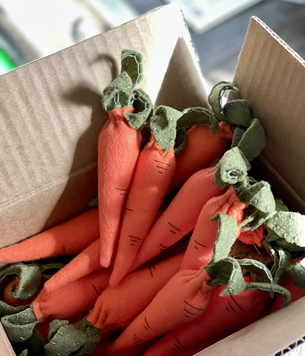 pretend play felt carrots