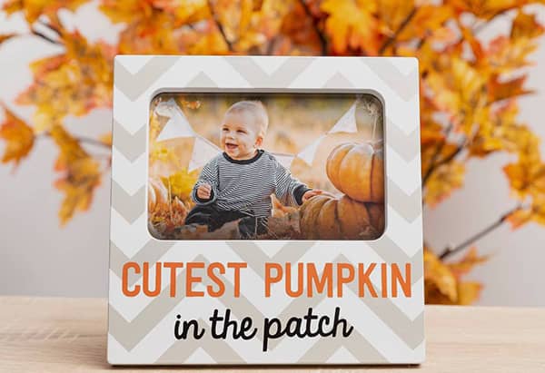 cutest pumpkin in the patch baby photo frame