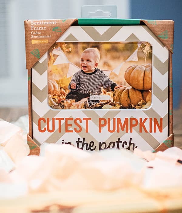 pumpkin patch photo frame October 2023 kids unboxing