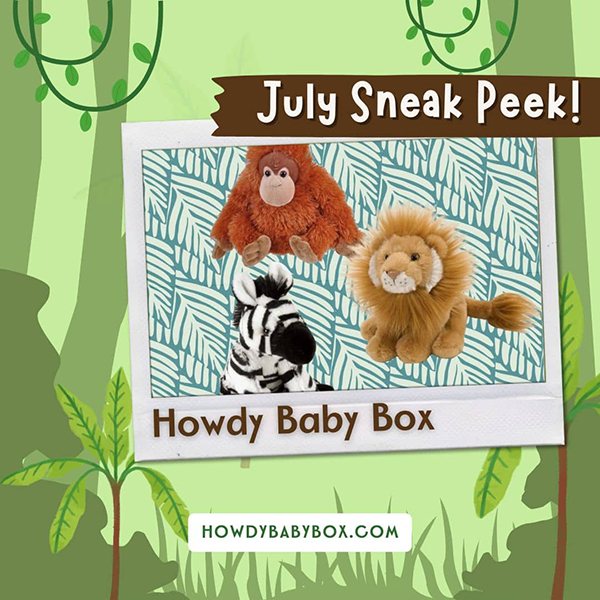July 2023 Howdy Baby Box sneak peek