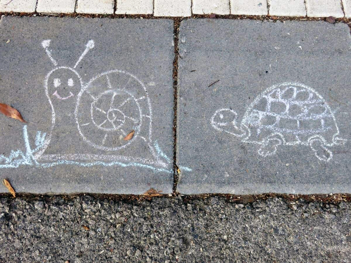 amazing spring inspired snail and turtle chalk art ideas for kids