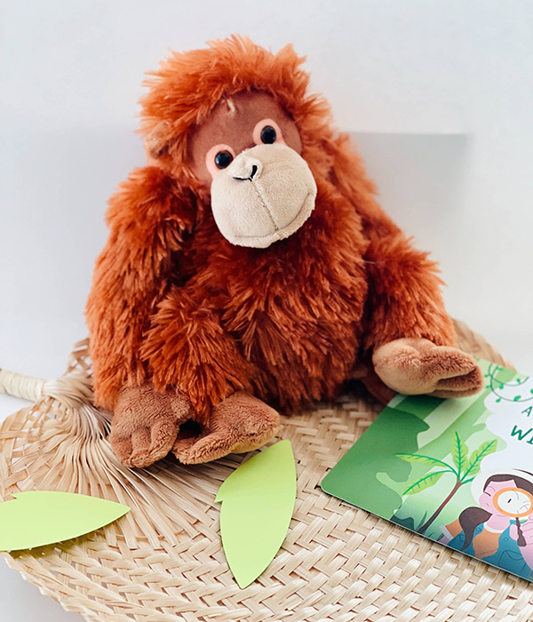 orangutan plushie toy from the jungle themed Howdy Baby kids subscription box for girls and boys