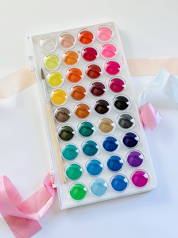 watercolors paint set from the February 2023 Howdy Baby children's monthly subscription box
