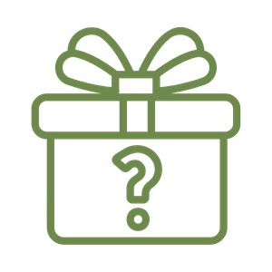 637-mystery-gift-icon-17763960199735.png