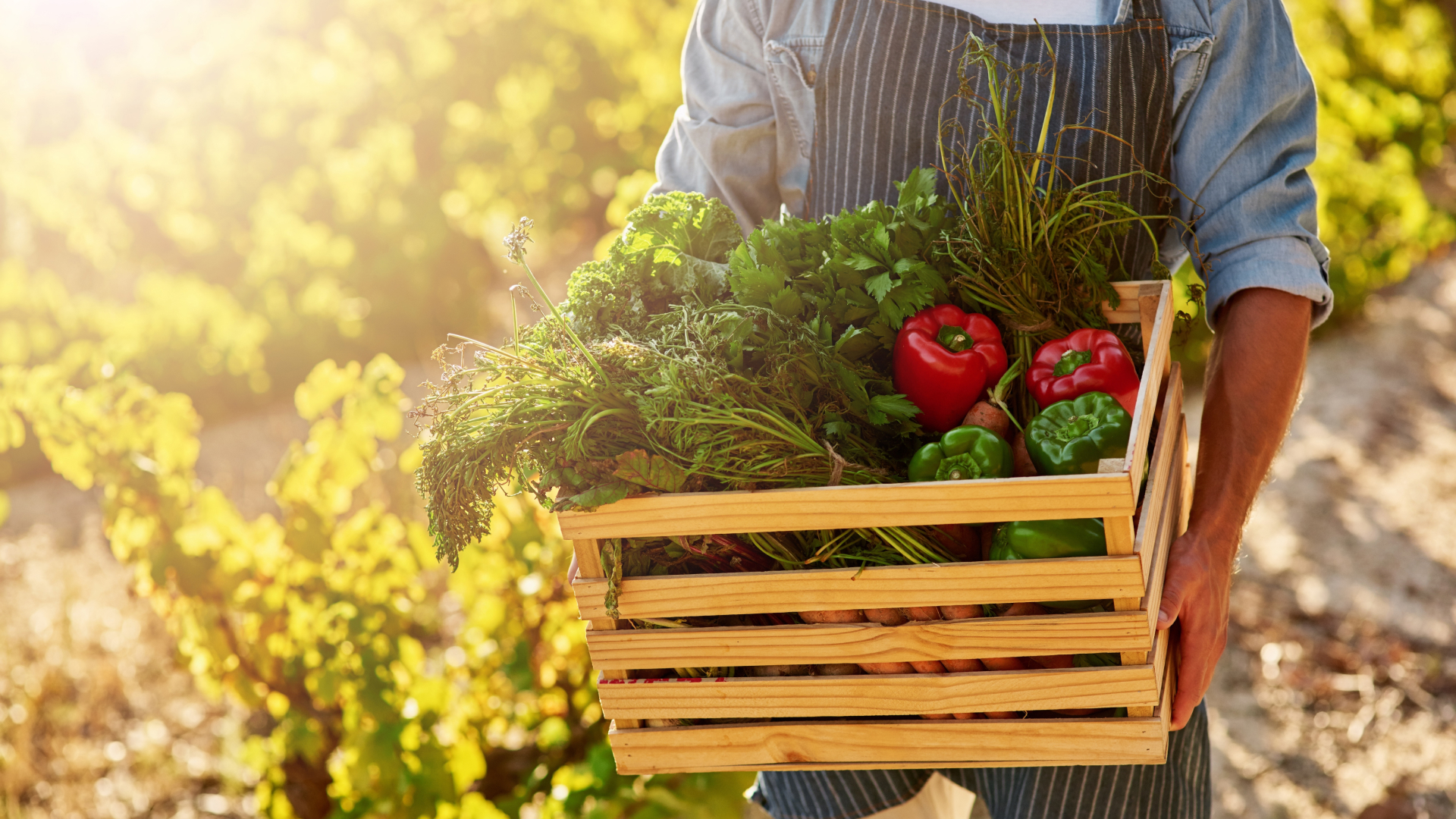 Sustainable Eating: How Choosing Mediterranean Spreads Can Help the Planet