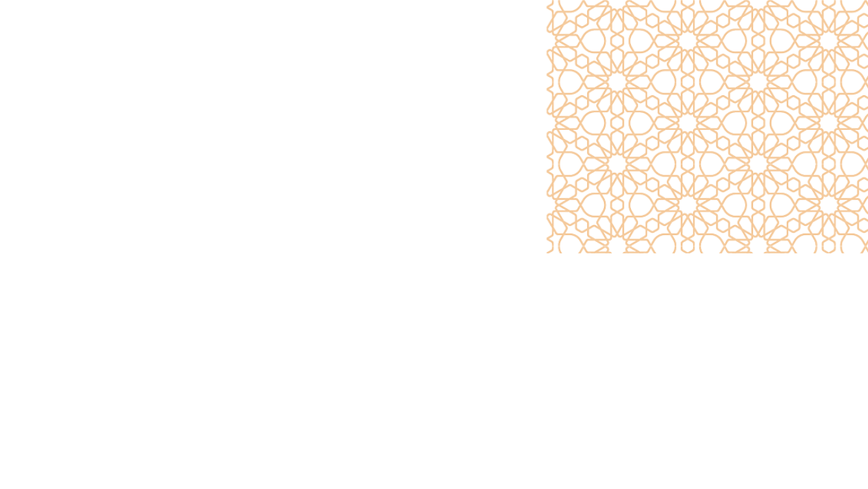 r538-3-17455637159427.png