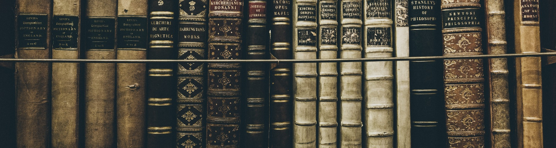 024510972936237-captura-de-pantalla-144-17459367809468.png