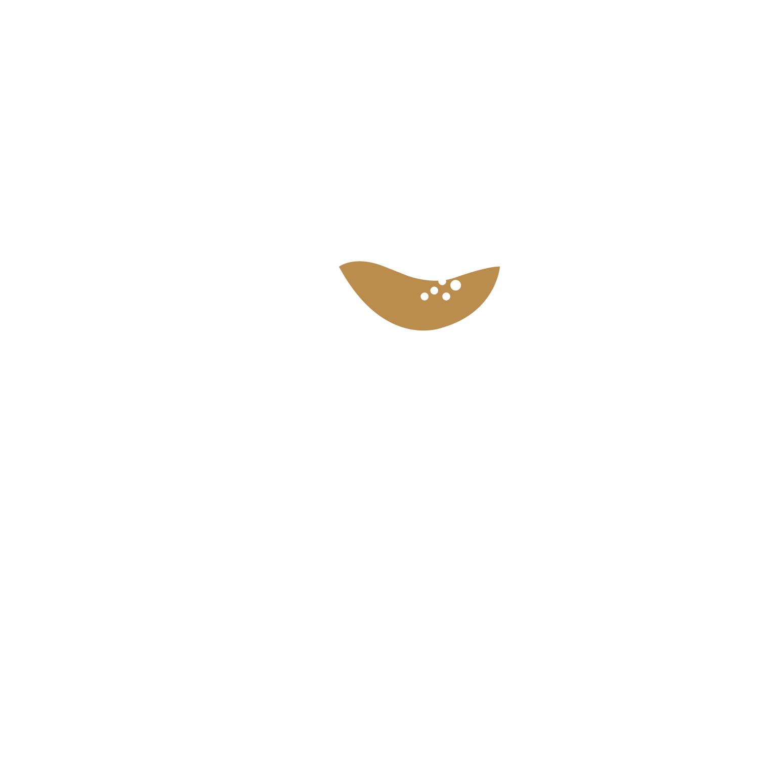 163-2025--logo-assetsicon-whitegold-17404035428313.png