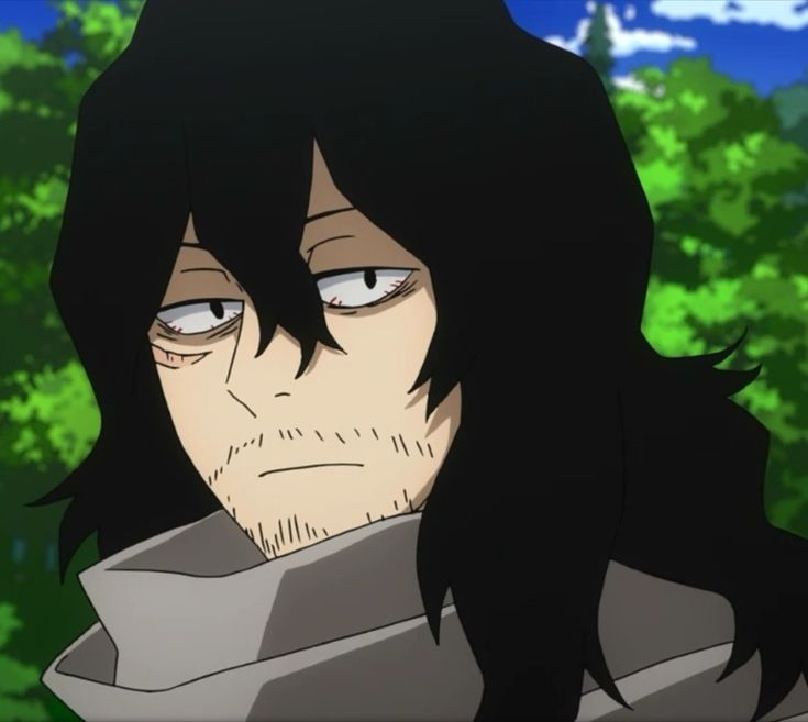 Shota Aizawa 