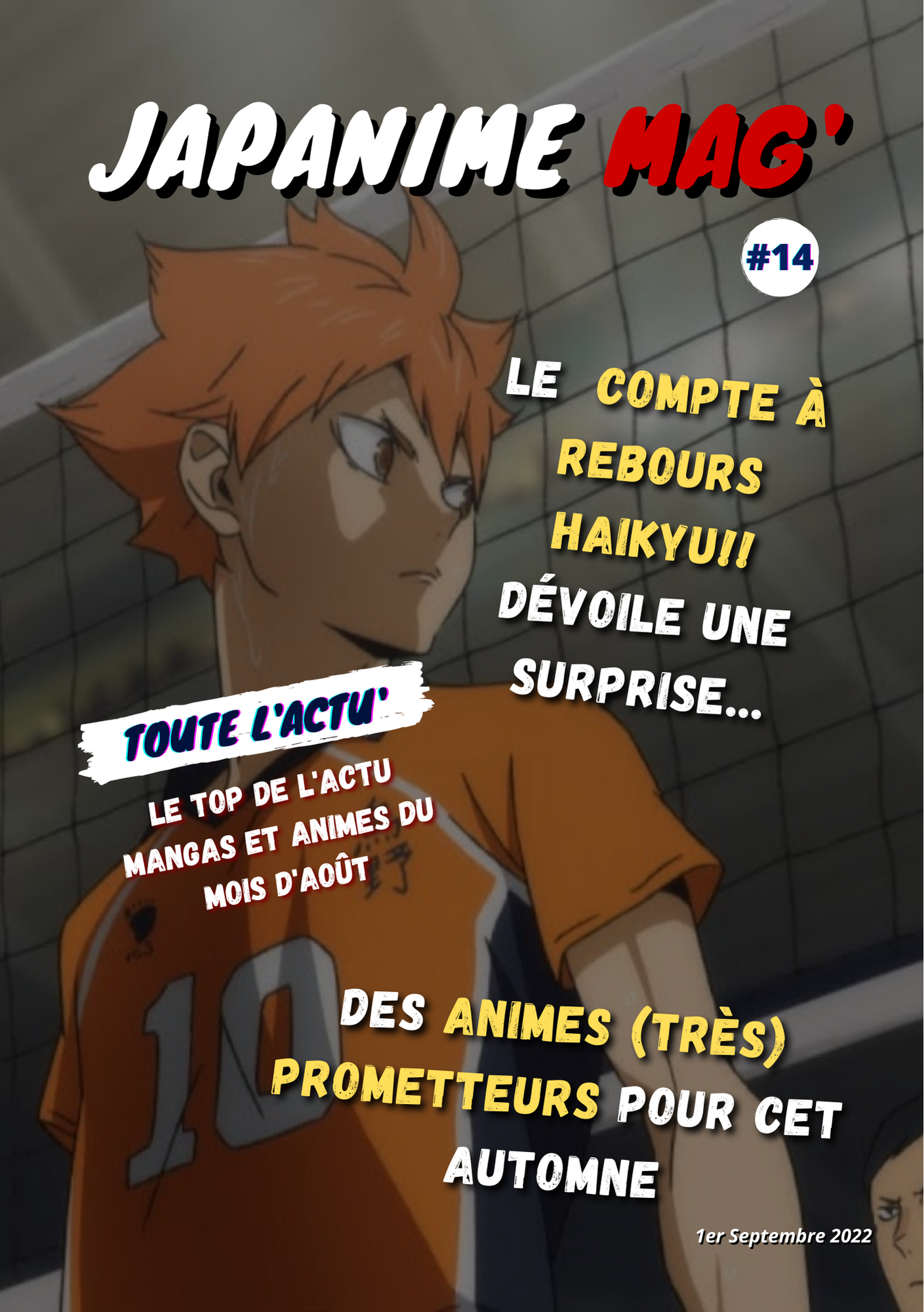 Japanime mag' 14, Water seven, One Piece news manga Japanime - Mag - #14 - One Piece - Water Seven - Magizine news manga - manga box