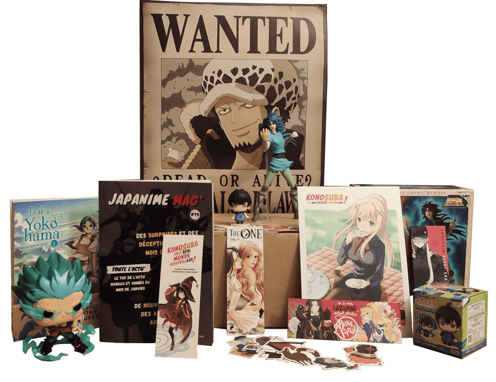 Japanime box de février Japanime - box manga - manga box - meilleur box manga - Figurine manga - funko pop - manga