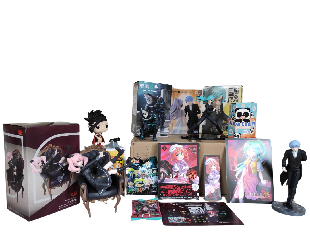 Box manga de janvier japanime - box manga - figurine officielle