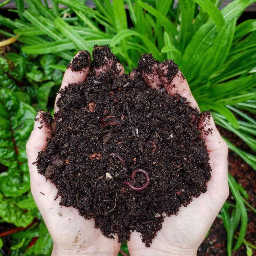 compost hands full of compost