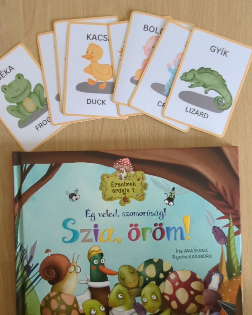 HUngarian storybook and flashcards.