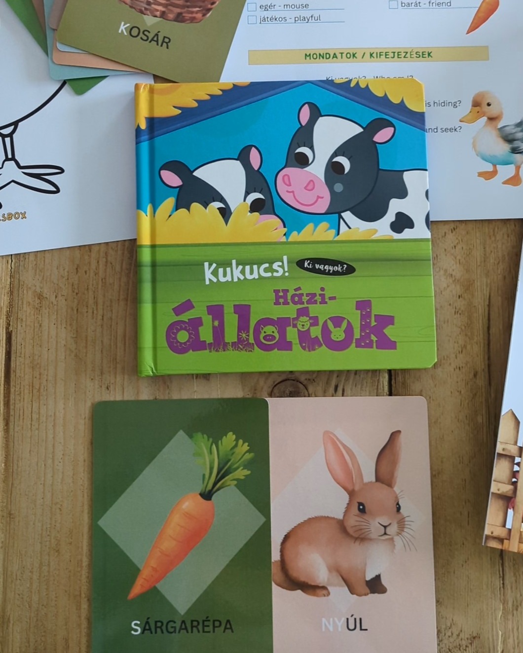 Hungarian litf the flap book and flashcards