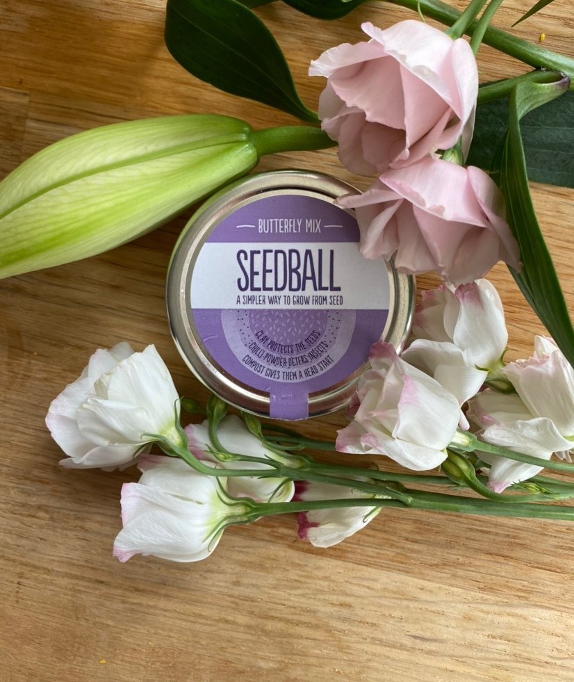01188269811455-seedballs-15970747368835.jpg