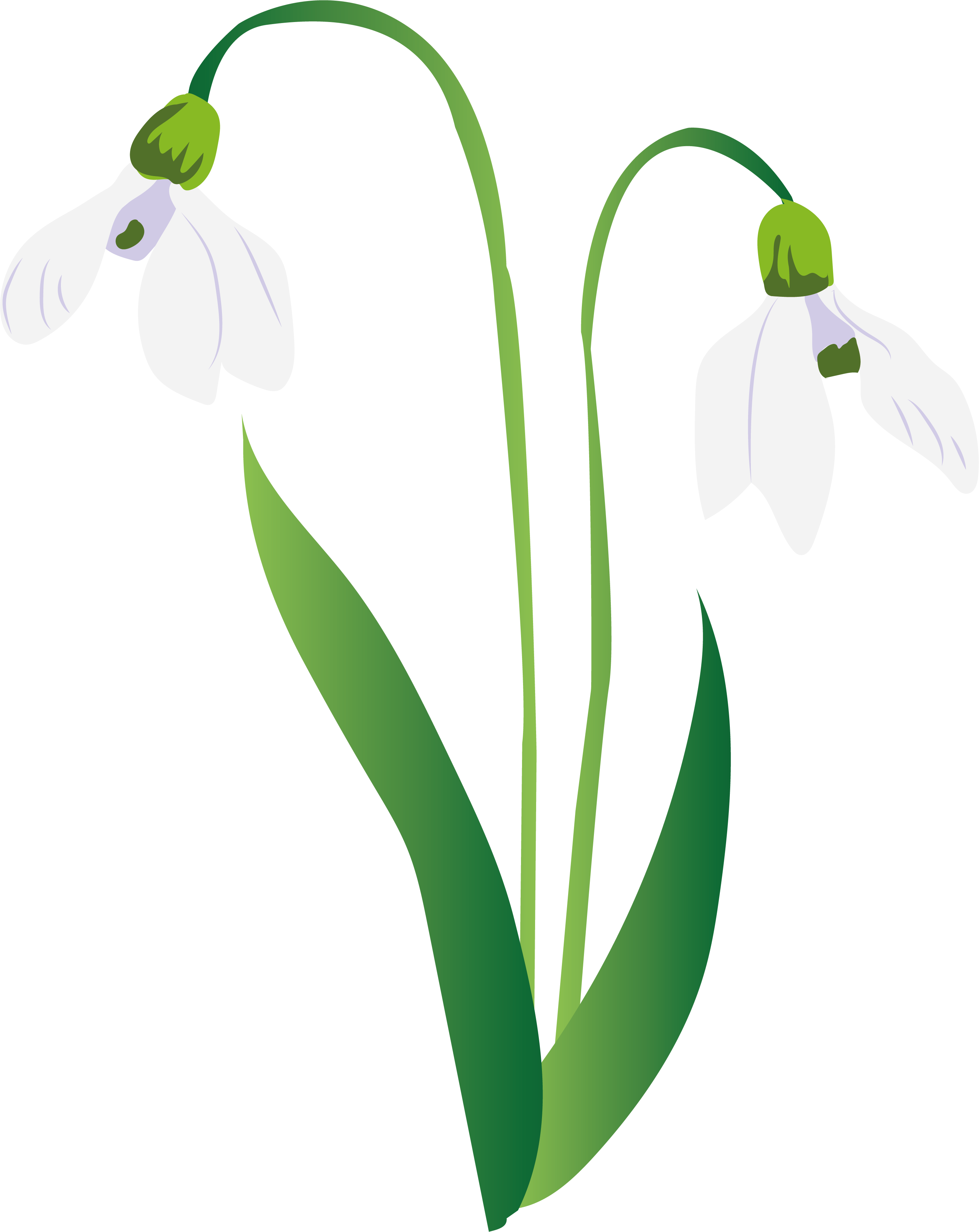 280-snowdrop1300x.png
