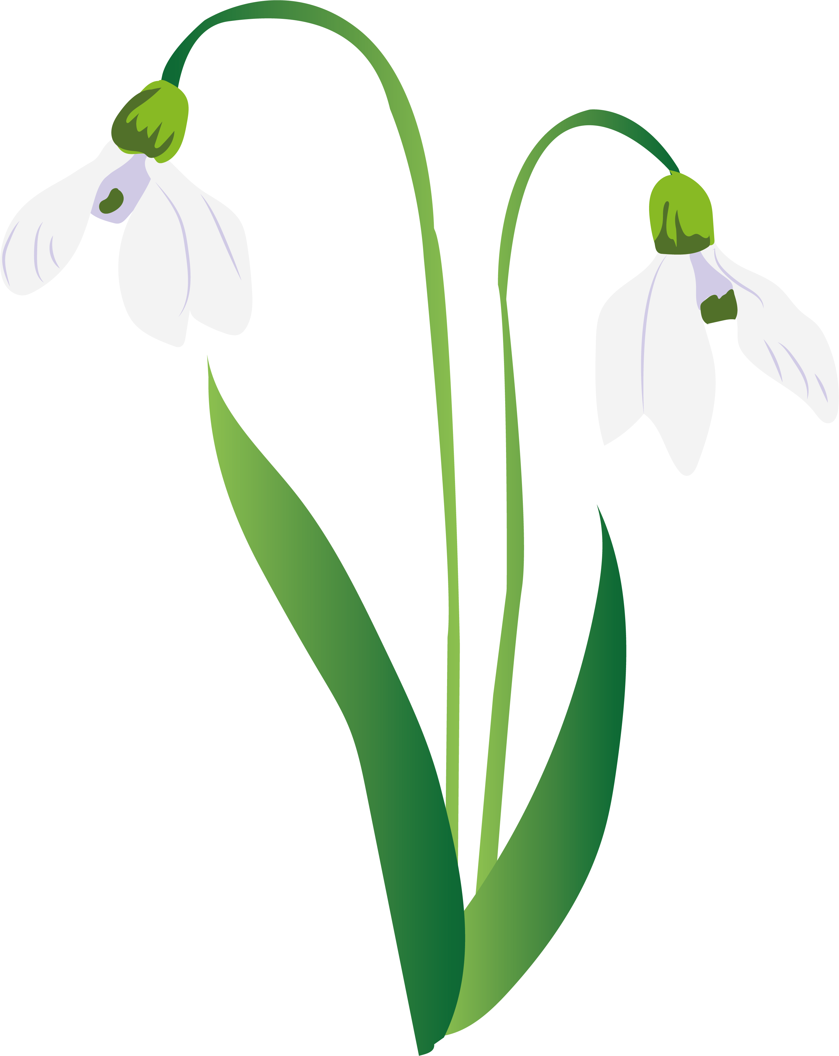 492-snowdrop1300x.png