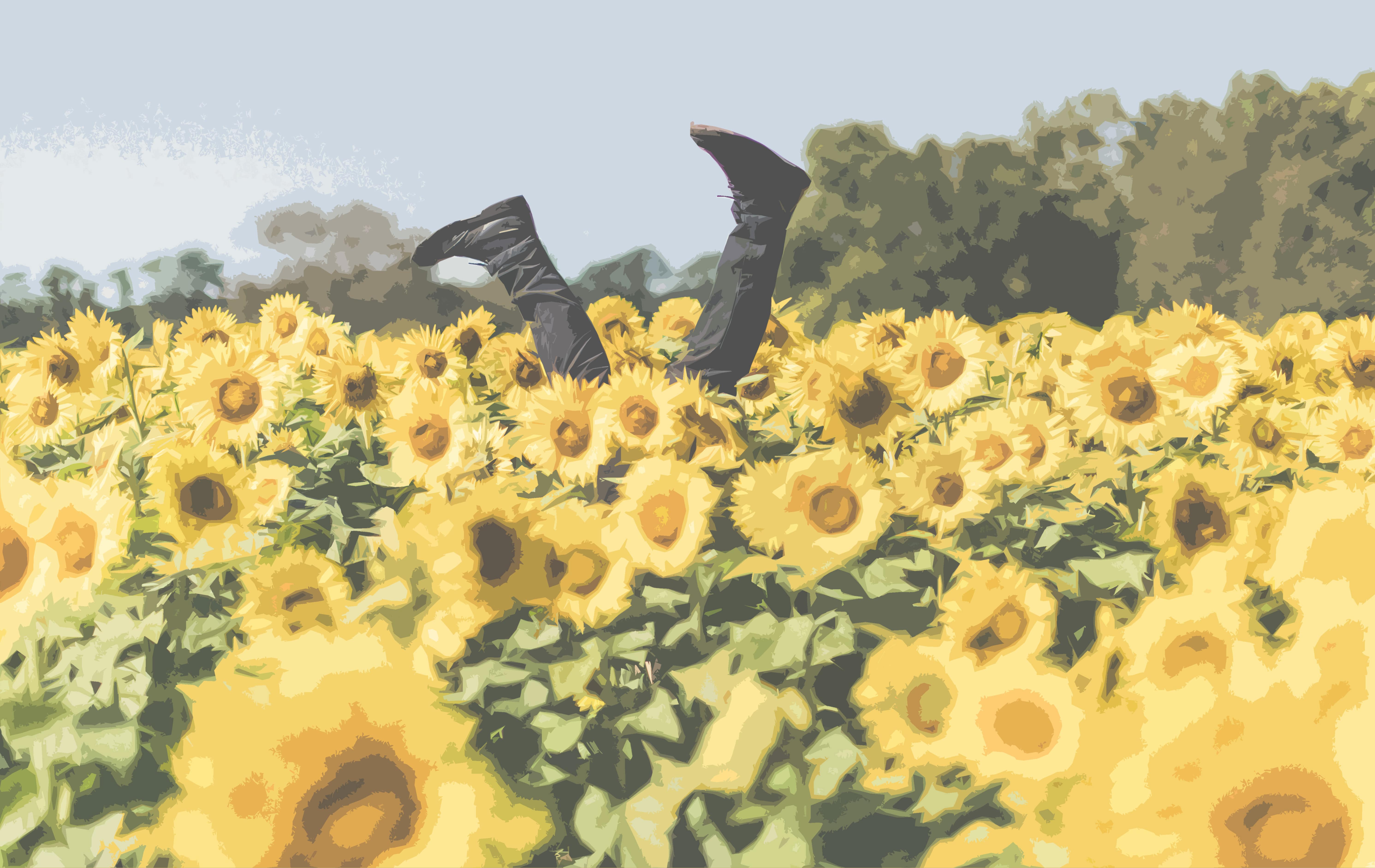 r15-sunflower-min.jpg