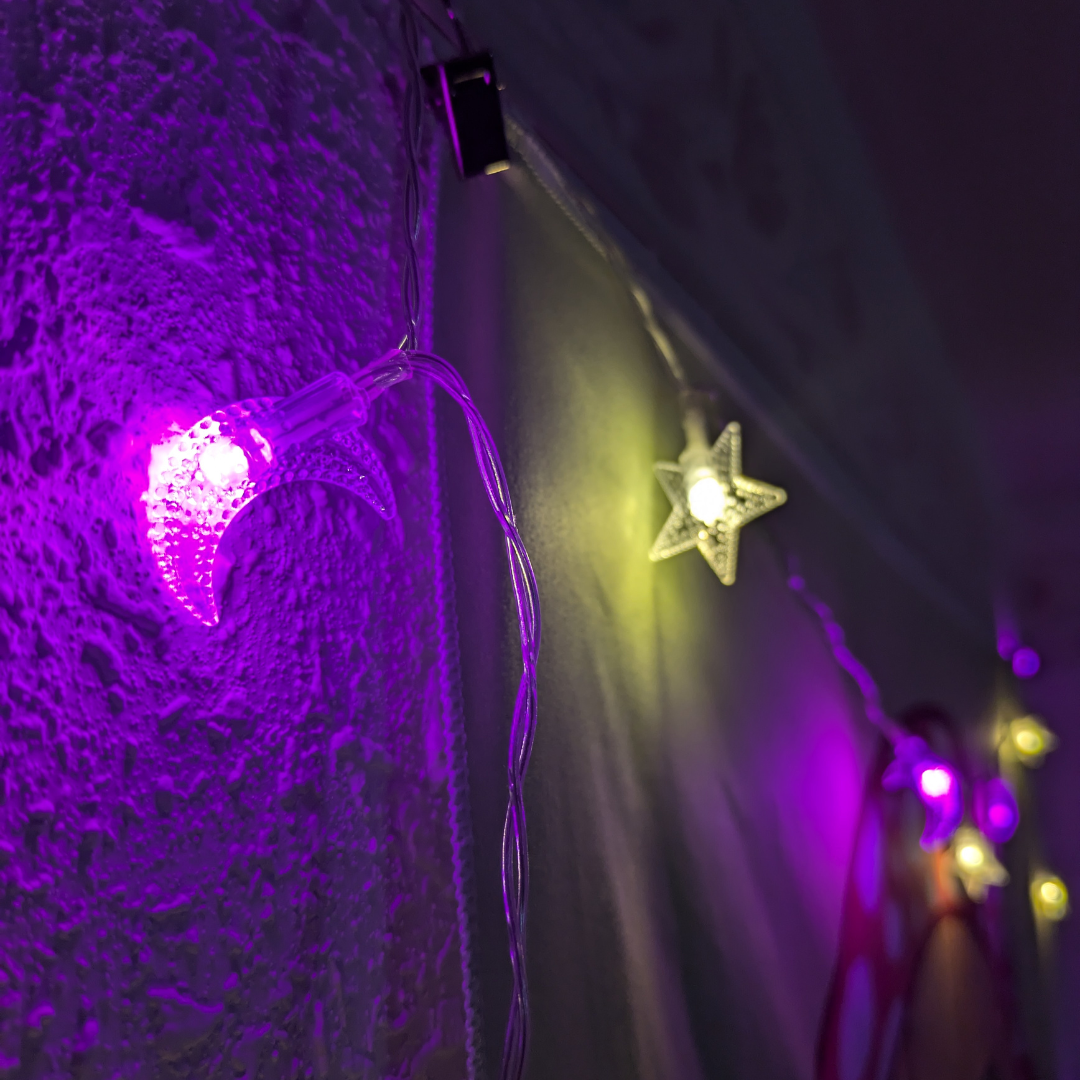 674-twinkle-lights-17270604885747.png