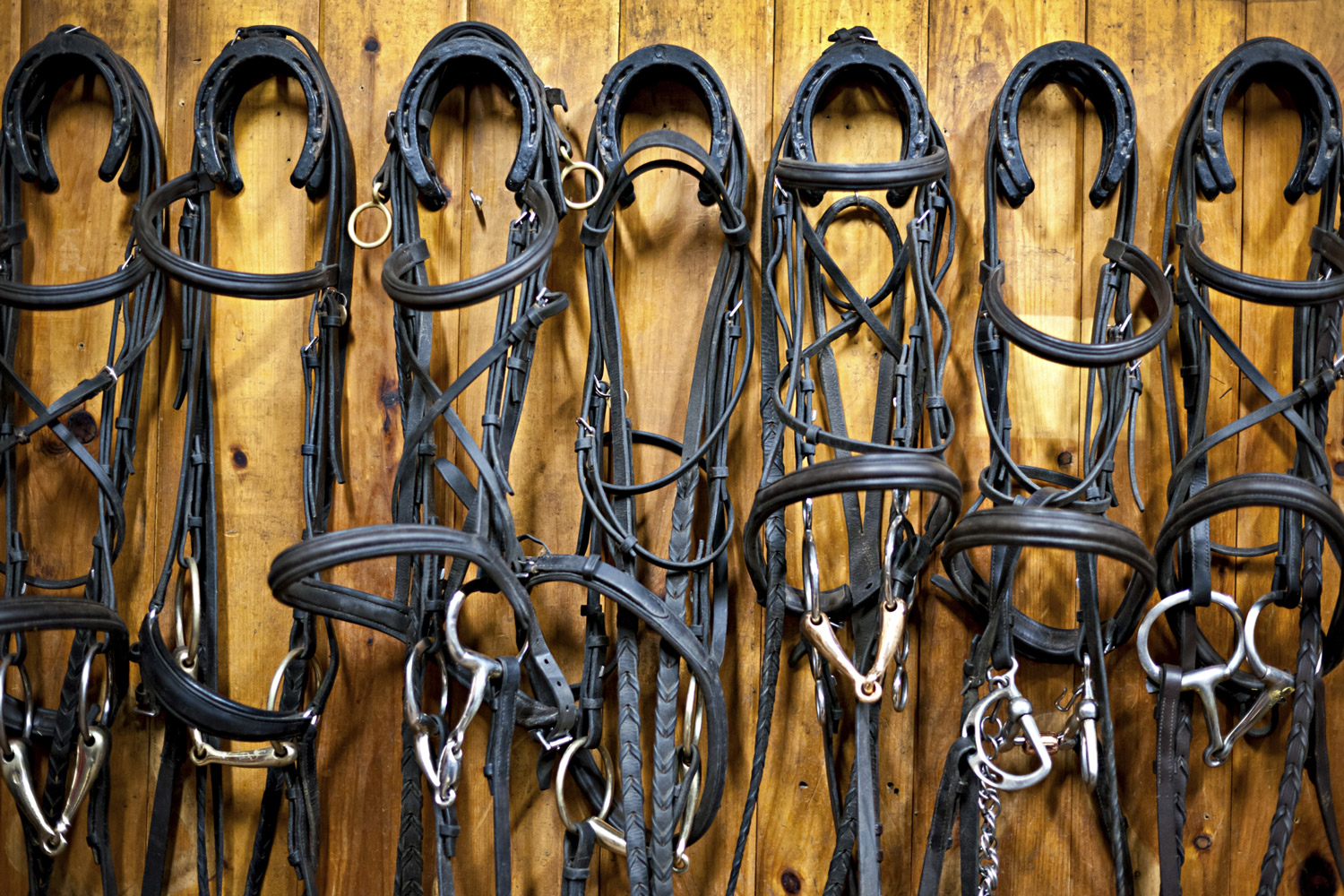 209-setting-up-your-own-tack-shop-promo-image.jpg