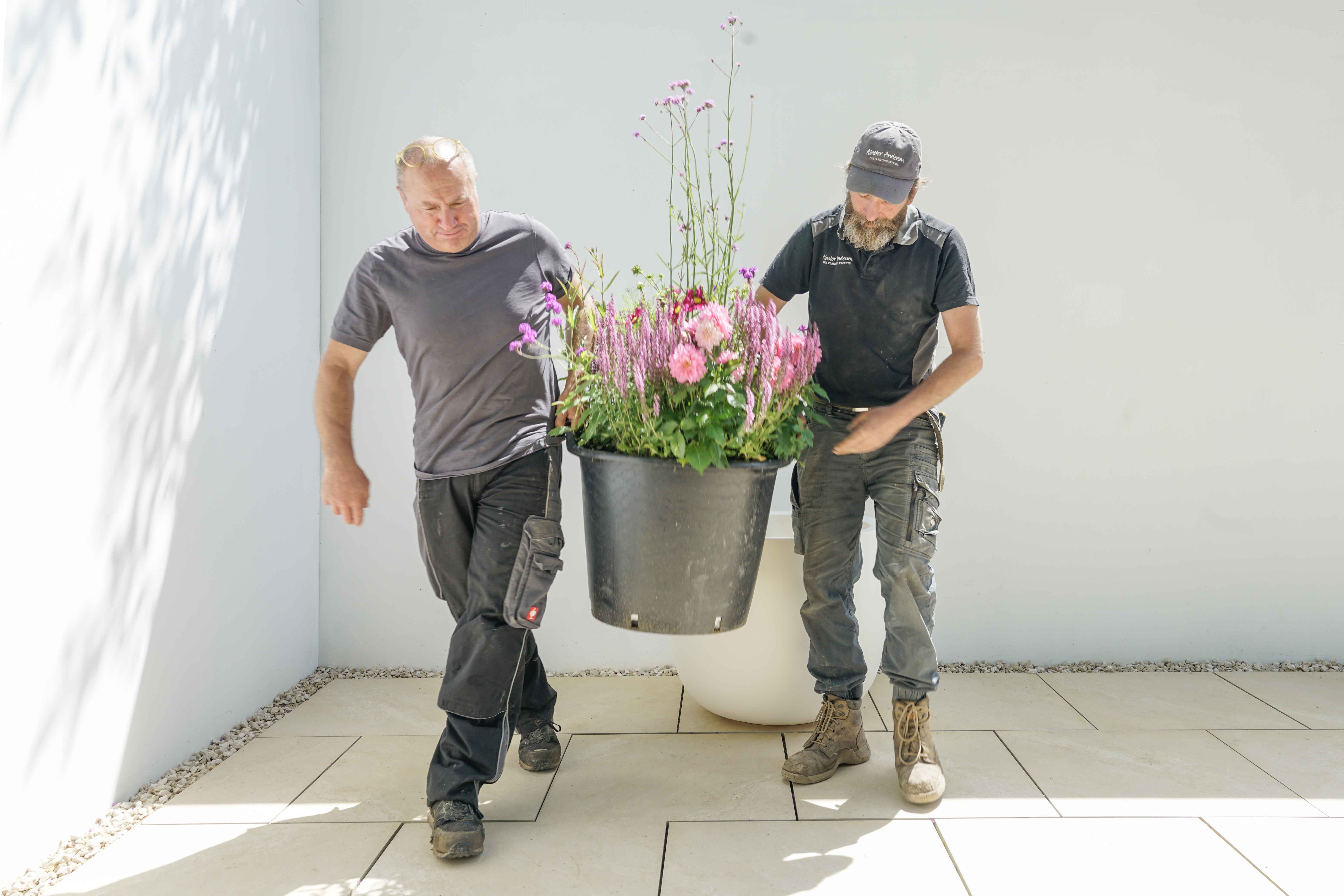 Effortless Swaps 331-sp0002spshootjuly202418-17289959192867.jpg