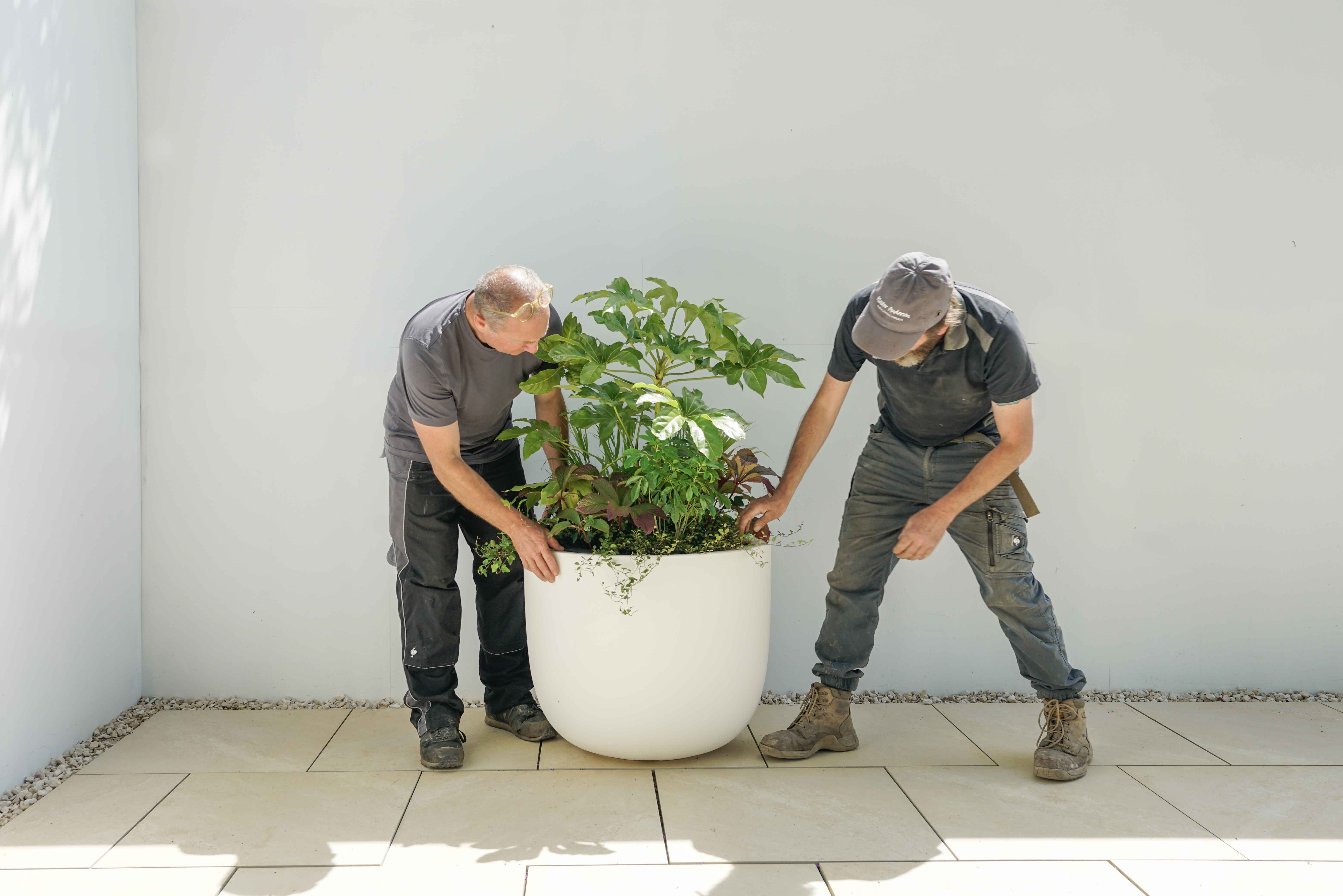 Meticulous Quality Assurance 331-sp0004spshootjuly202416-17289959193079.jpg