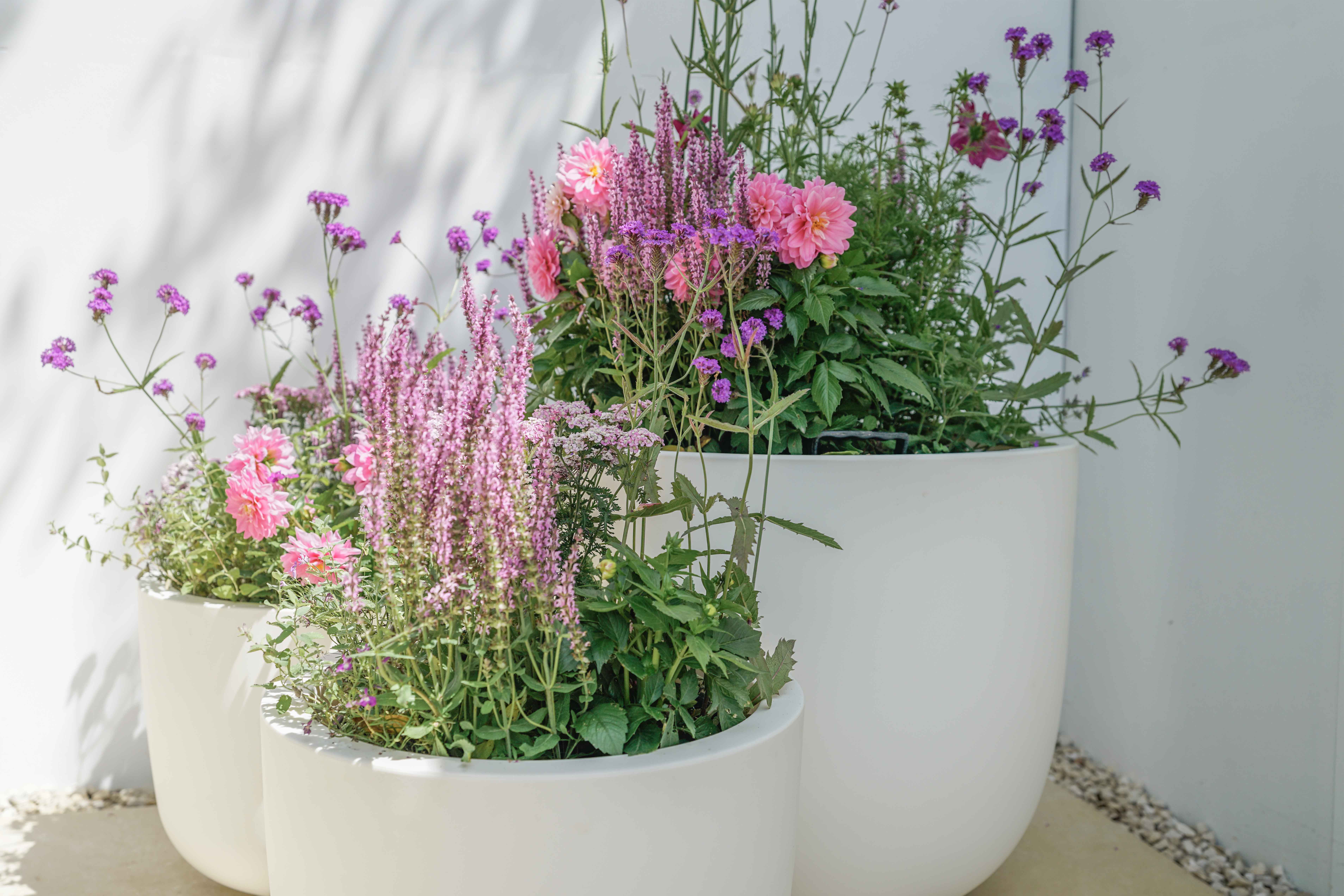 Seasonal Style 331-sp0008spshootjuly20242-17289959194725.jpg