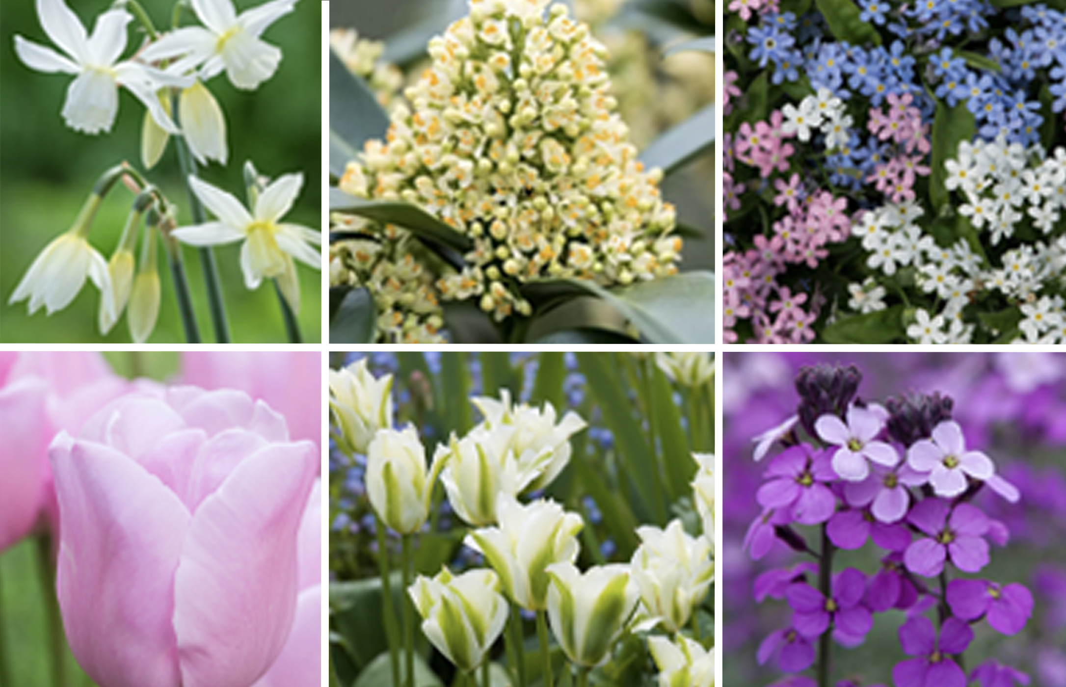 April - June 462-cottage-apr-jun-17292478525276.png