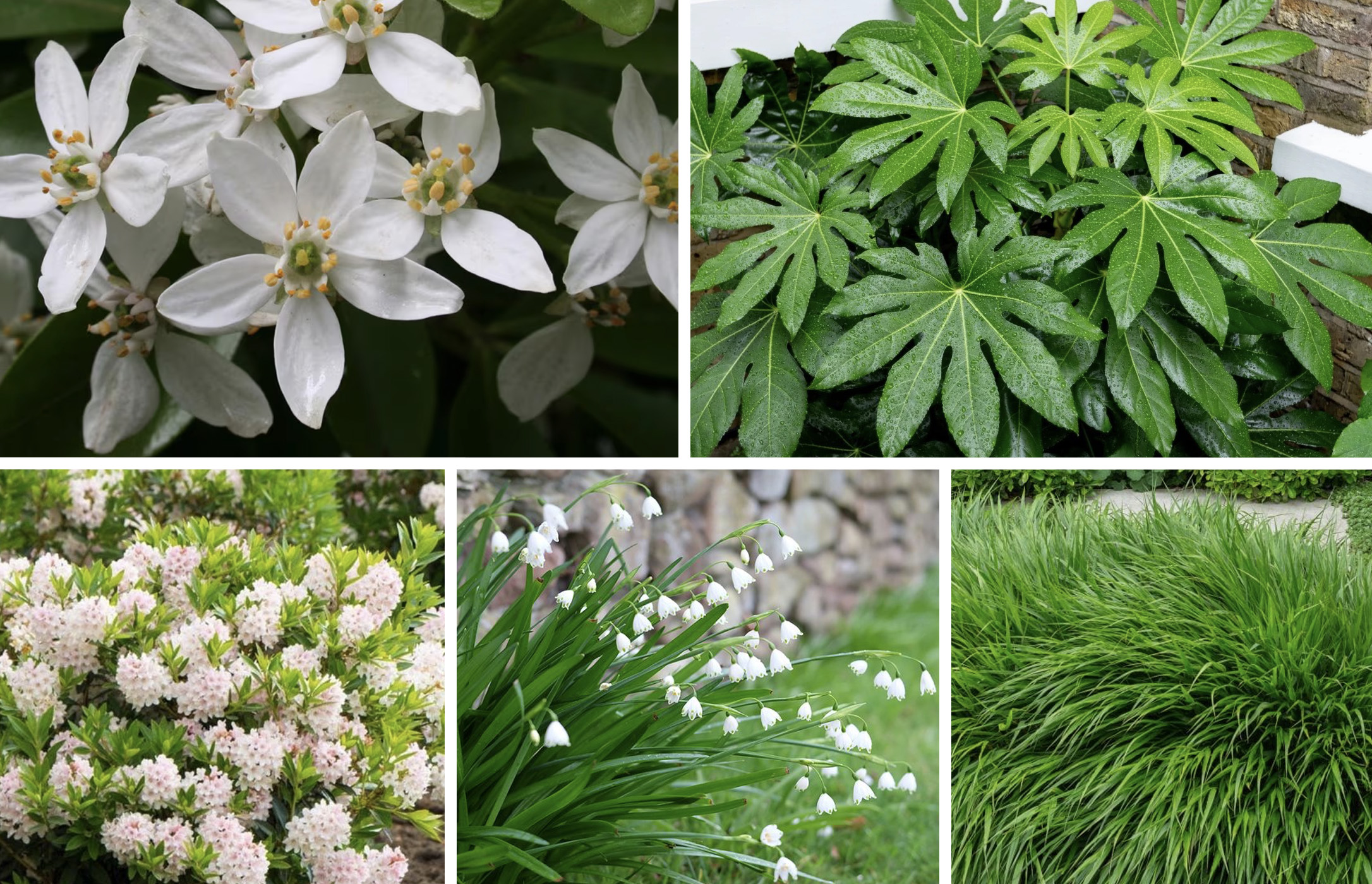 April - June 466-fol-apr-jun-17292571128776.jpg