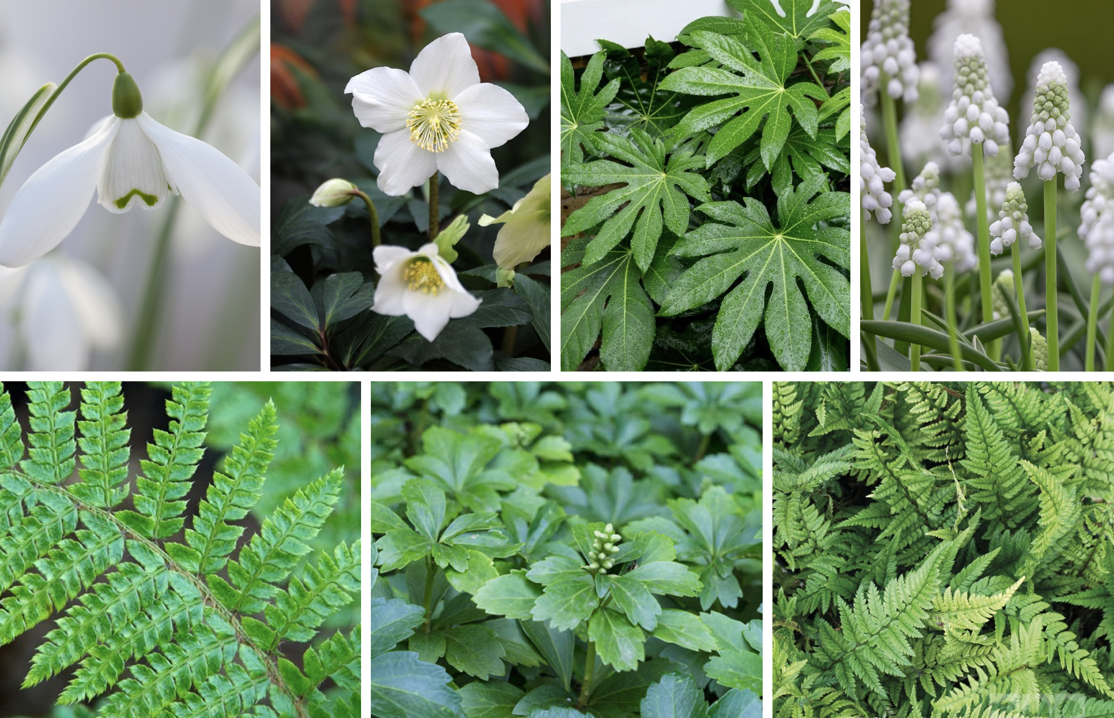 January - March 466-fol-jan-march-17292571126587.jpg