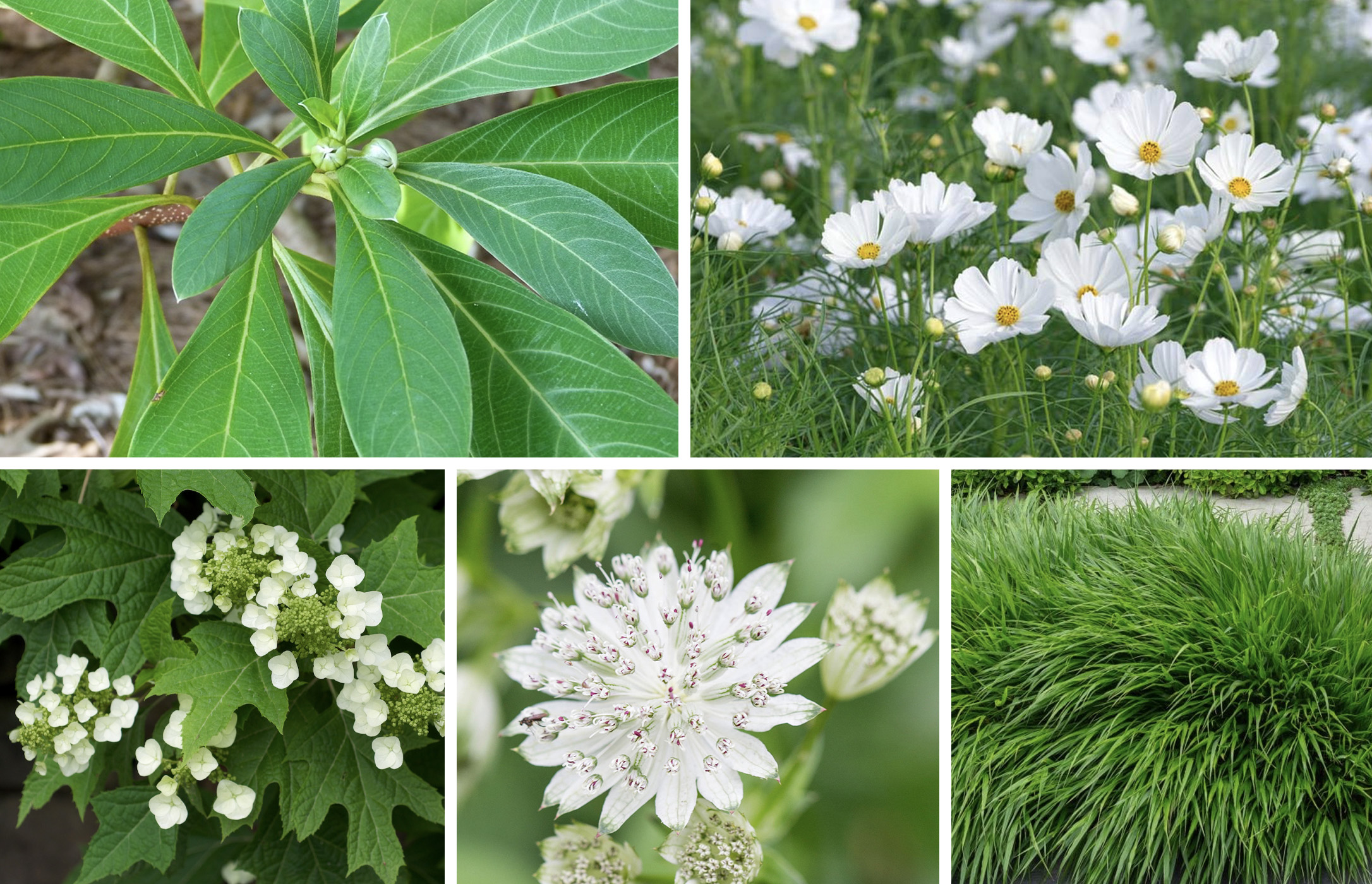 July - September 466-fol-jul-sep-17292571127031.jpg