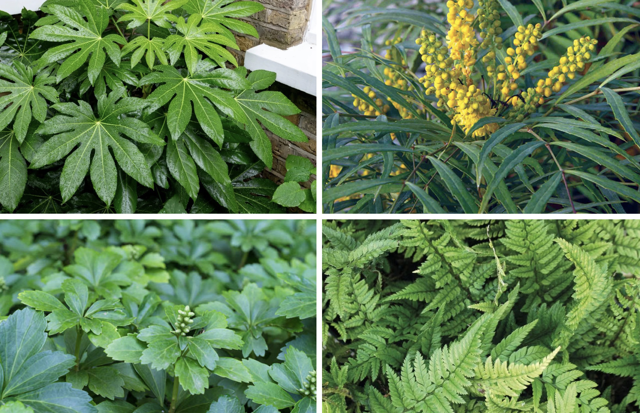 October - December 466-fol-oct-dec-17292571129049.jpg