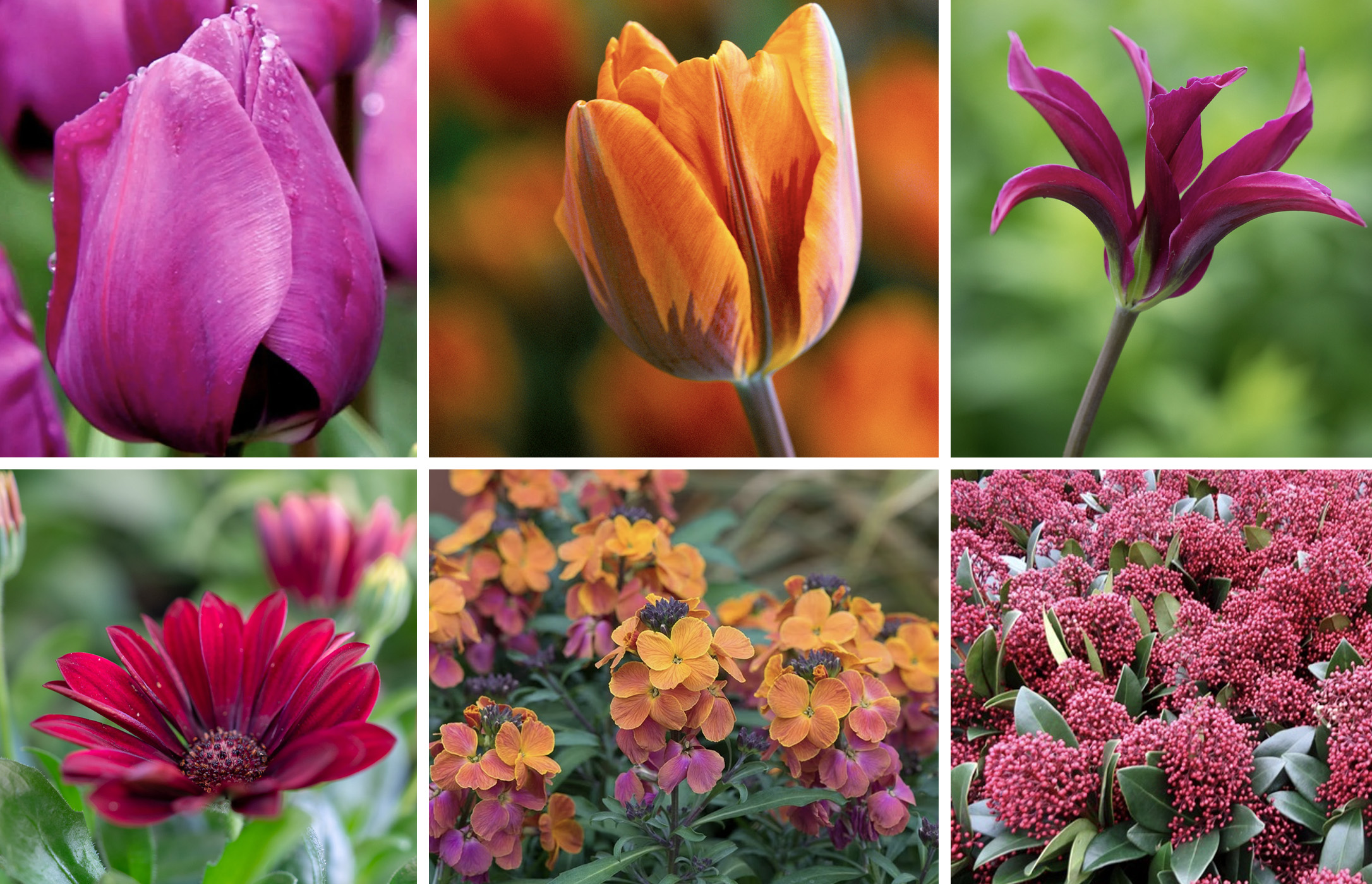 April - June 470-warm-apr-jun-17292550959103.jpg