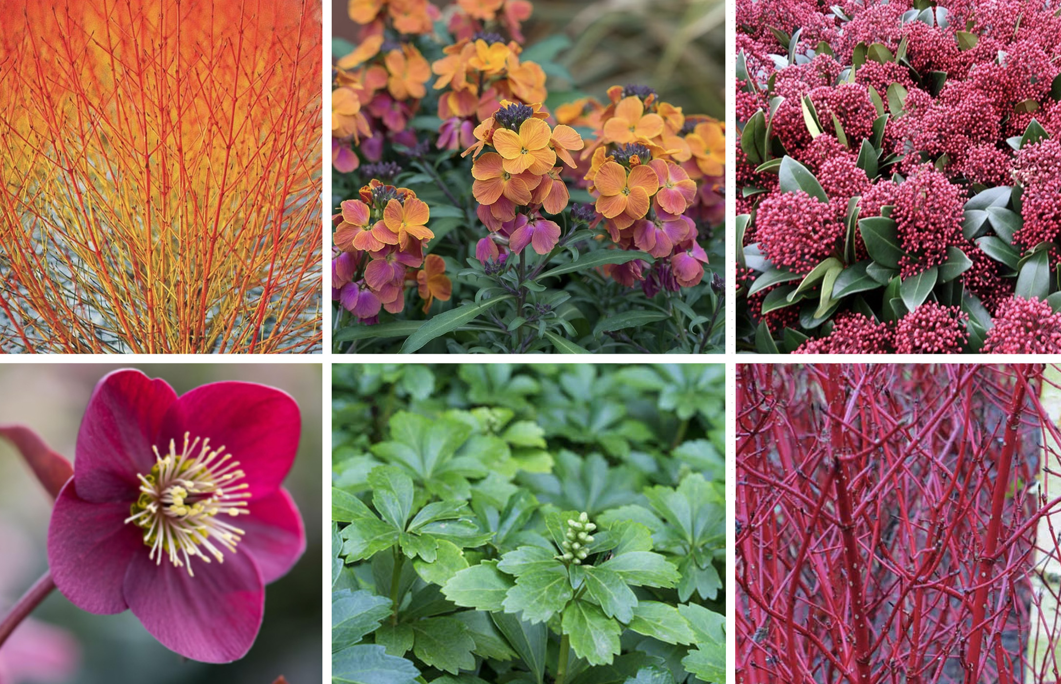 January - March 470-warm-jan-march-1729255096073.jpg