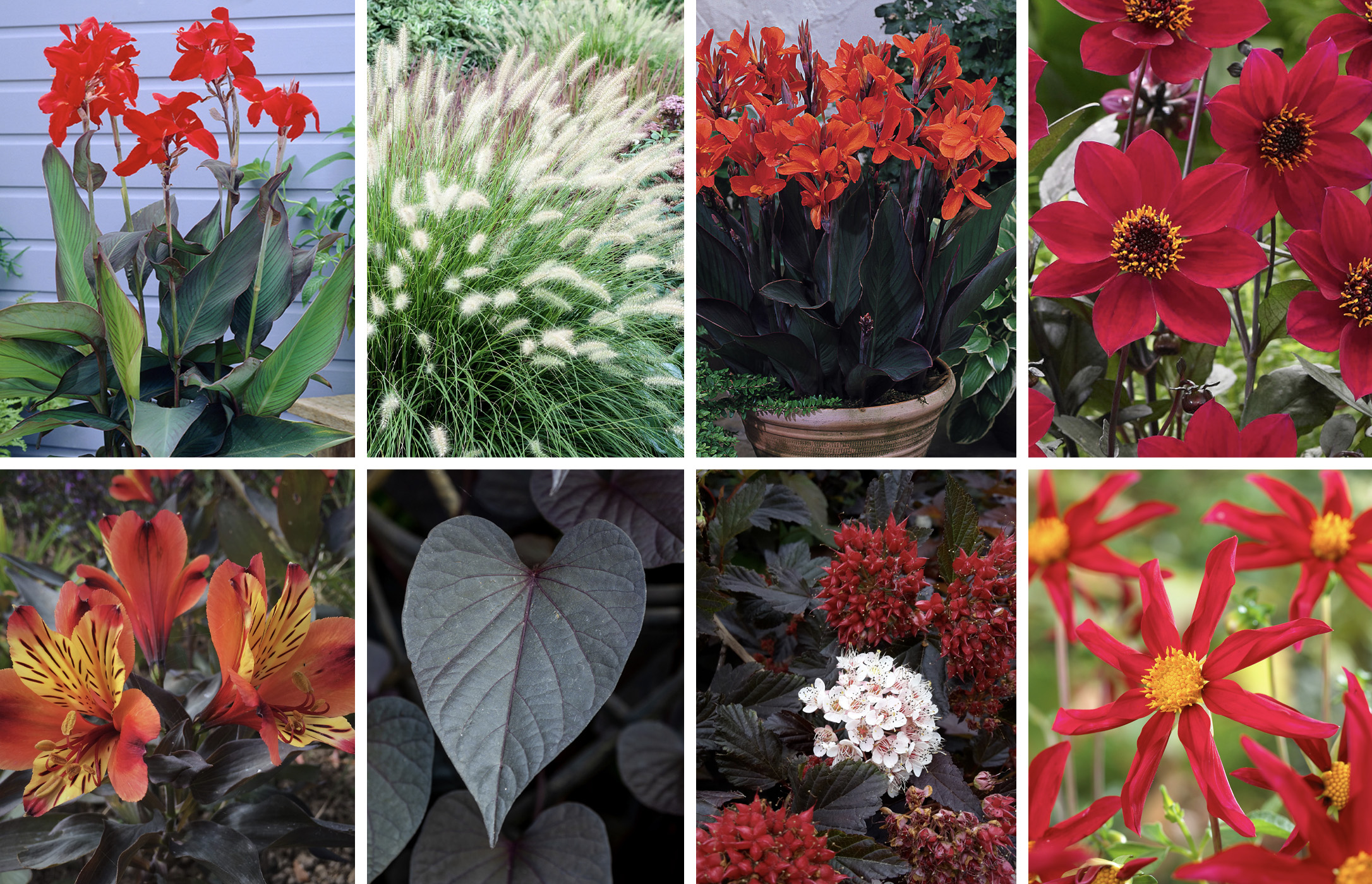 July - September 470-warm-jul-sep-17292550962286.jpg