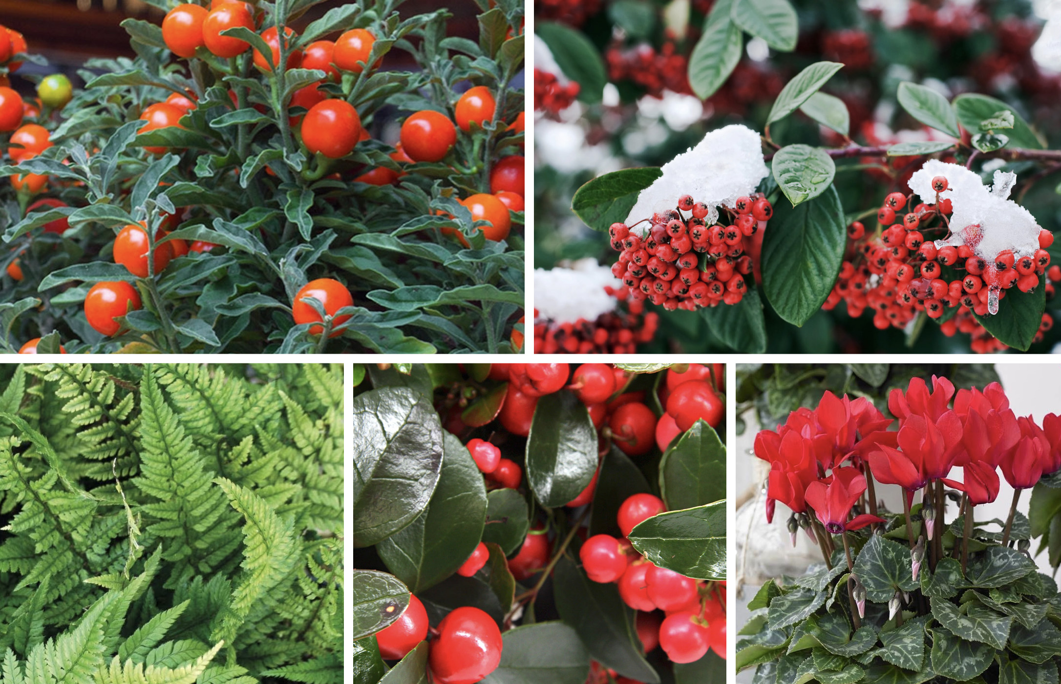 October - December 470-warm-oct-dec-17292550961335.jpg