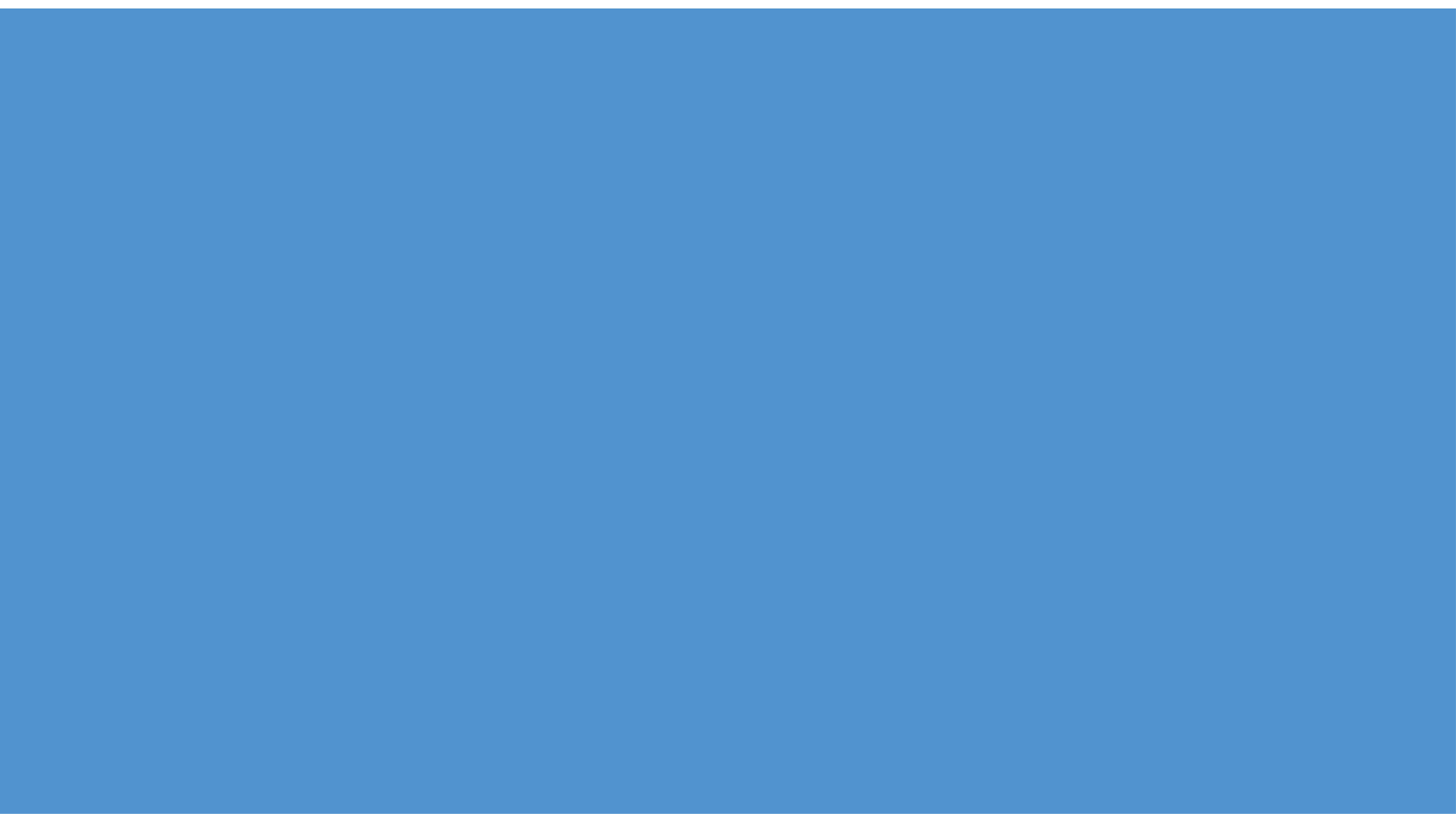 r65-lt-blue.jpg