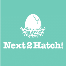 917-next2hatch.png