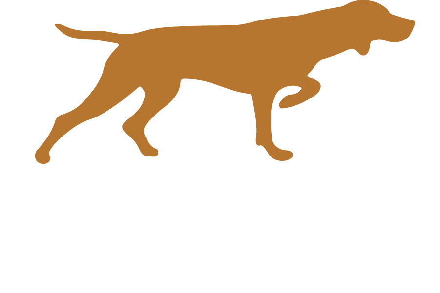 009016011243-luckydoglogo-final-whitefont-transparent.png