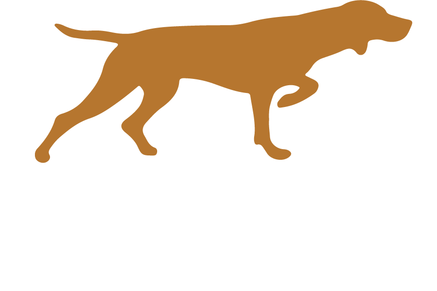 Lucky Dog Coffee