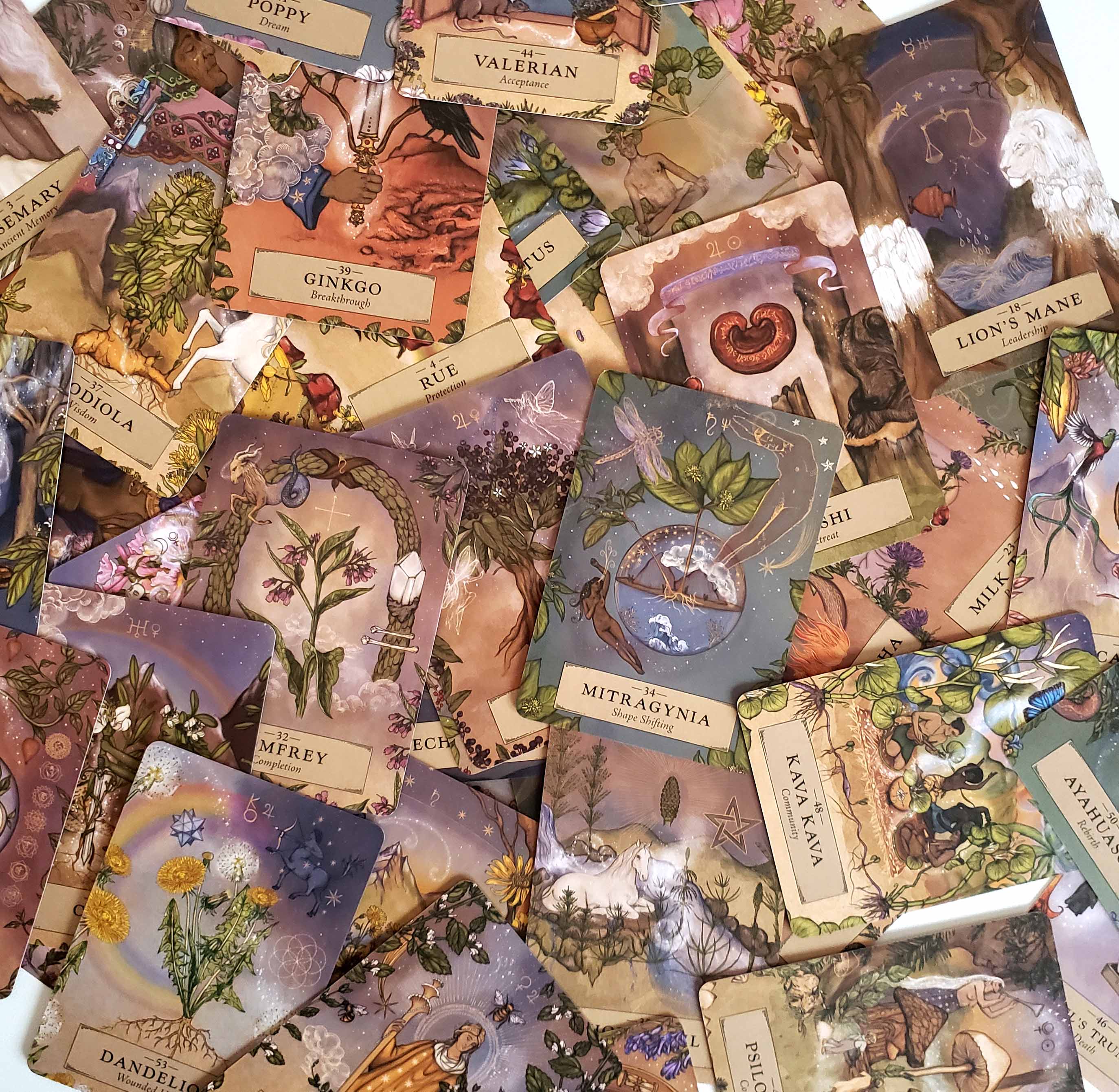 1512-herbalastrology4-16788535885548.jpg