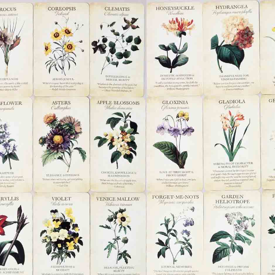 1516-botanicalinspirations3-16788661572923.jpg