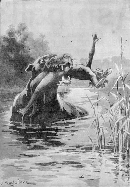 561-bunyip1890.jpg