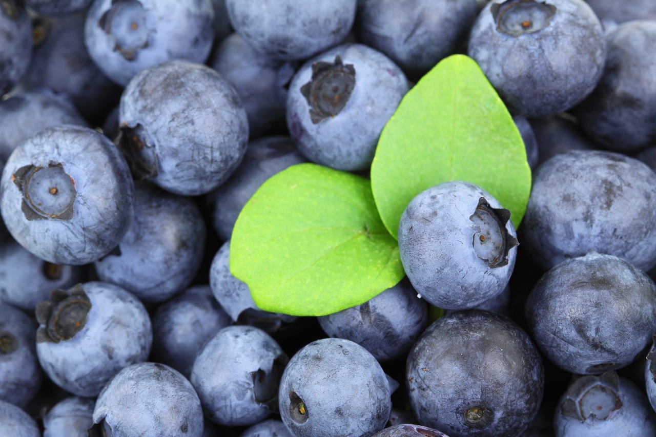 Caring for the Caregiver: A Guide to Nutritious Eating for Female Pharmacists